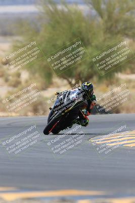 media/May-14-2023-SoCal Trackdays (Sun) [[024eb53b40]]/Turn 5 Tree of Life (1125am)/